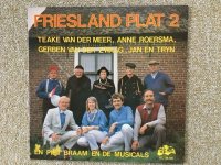 LP Friesland plat 2 Teake van