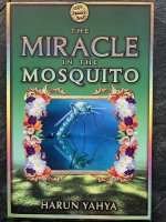 The Miracle in the Mosquito -