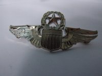 Embleem,Badge,USAF,Commanding,Pilot,Piloot