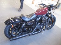 Harley Davidson XL 883N Sportster Iron