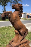 Tuinbeeld ,Steigerend paard