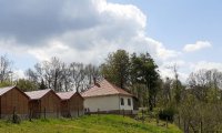  D803 Hongarije: huis met bijgebouwen,