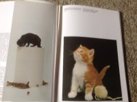 Een Boek van katten,lieve schattige huisdieren,slim
