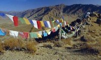 Tibetaanse gebedsvlaggetjes Medium, slinger van 10
