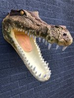 Muurdecoratie krokodil  , krokodil