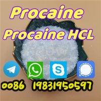 White Powder Procaine Base CAS 59-46-1