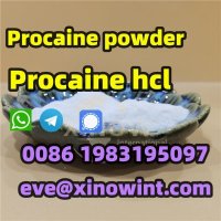  Procaine Base / Procaine HCl
