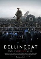 Bellingcat, truth  in  a