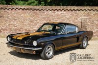Ford Mustang Fastback Shelby GT 350-\
