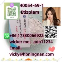 40054-69-1  Etizolam   High
