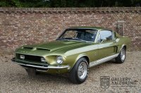Ford Mustang Shelby GT350 Fastback Owner