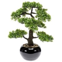Emerald Kunstplant mini bonsai ficus groen