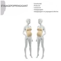 Presentatie Zwangerschapsbuik / Positiebuik Nieuw EPG