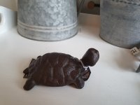 Tuinbeeld schildpad 11 cm