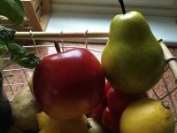 Appel , peer , nep fruit