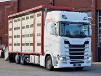 Scania S500 NGS 6x2*4 - Livestock