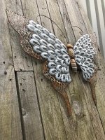 Grote en zeer decoratieve vlinder, heel