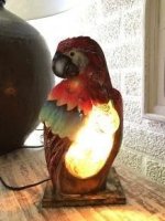 Lamp papegaai, paegaai 