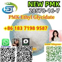 PMK Powder PMK Ethyl Glycidate CAS