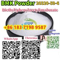 CAS 20320-59-6、New BMK Oil、New BMK Powder、Diethyl