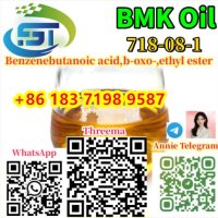 New BMK Oil 718-08-1 Benzenebutanoic acid,b-oxo-,ethyl