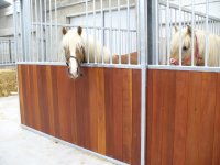 Stalling voor pony of paard