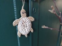 Schelpen hanger schildpad