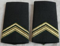 Rang Onderscheiding, DT2000, Sergeant 1e Klasse,