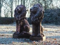Stattige leeuwen , tuinbeeld leeuw