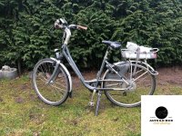 Elektrische fiets Batavus Mont  500