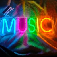 Neon led \'music kleur\' op plexiglas