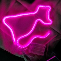 Neon lamp \'kat roze\' Usb of
