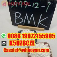 CAS 5449-12-7 BMK Glycidic Acid powder