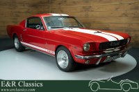 Ford Mustang Fastback | 351 CUI