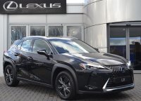 Lexus UX 250h Luxury Line LEDER