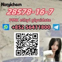 CAS 28578-16-7   PMK ethyl