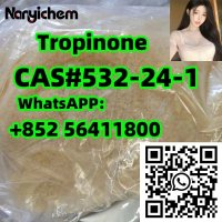 CAS 532-24-1   Tropinone