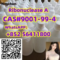 CAS 9001-99-4    Ribonuclease