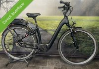 E BIKE Flyer Gotour Elektrische fiets