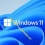 Windows 11 Home & Pro geschikt voor alle systemen!
