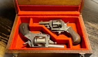 2 luikse revolvers in org.kist