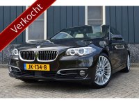 BMW 5 Serie 528i Luxury Edition