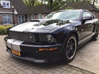 Ford USA Mustang shelby 4.6 V8