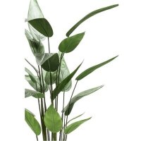 Emerald Kunstplant heliconia plant groen 125
