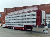 Pezzaioli New 5 stock Livestock trailer